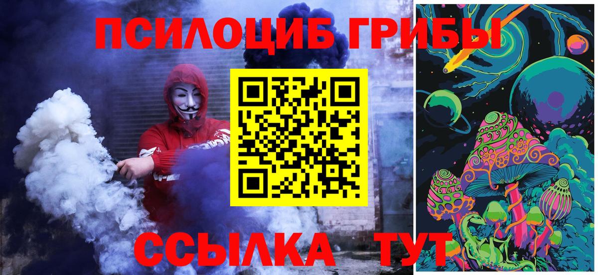 Псилоцибиновые грибы Psilocybe Волгоград