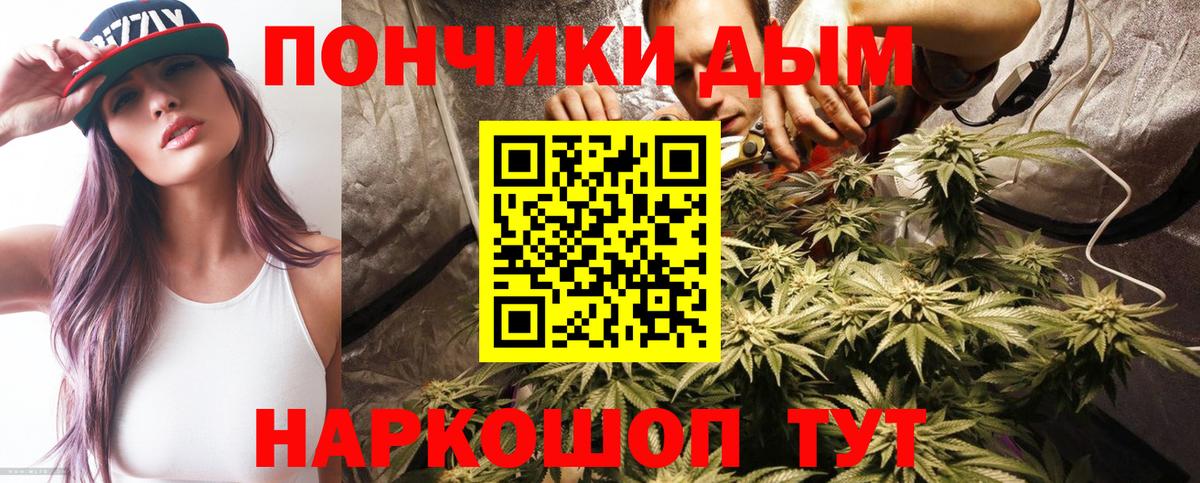 Канабис сатива  Вход с VPN  Волгоград  Бошки Шишки тримм  Конопля Ganja 